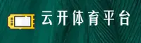 使用指南与常见问题